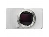 Sigma BF Mirrorless Camera (Silver)